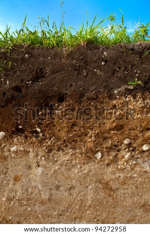 A cut of soil with different layers visible and grass on top