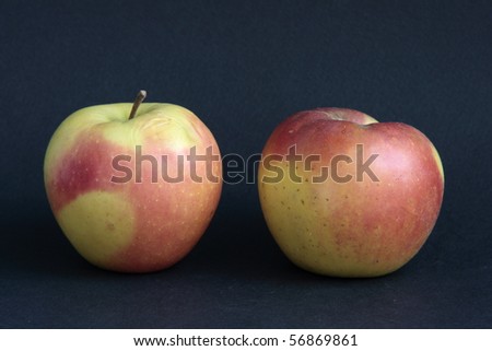 First floor of two apples on a black background
