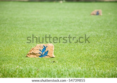 painting rocks on grass