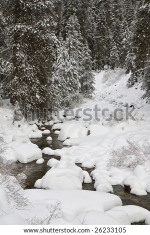 Forest Creek in Sequoia National Park