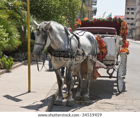 Horse Drawing Fun Ride Cart in San Antonio, Texas.