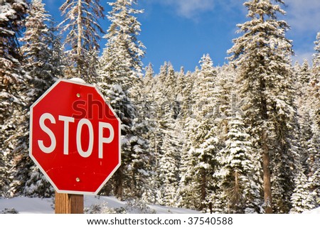 Stop Sign against Winter Forest at Sequoia National Park, California.