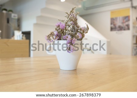 coffee cup with ornamental plants in cafe.