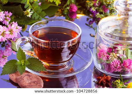 Fresh herbal tea with natural cocoa