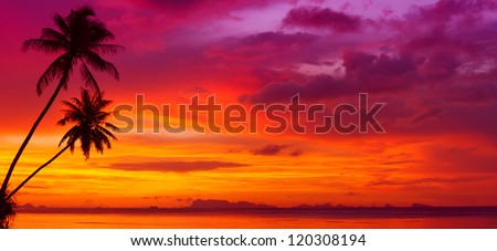 Sunset over the ocean with tropical palm trees silhouette panorama
