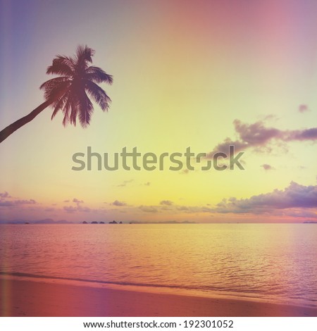 Tropical sunset with palm tree silhouette at beach, retro stylized