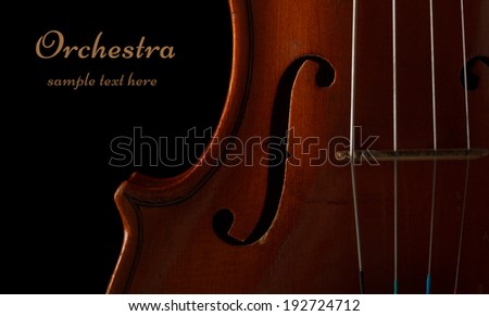 Violin detail in ambient light on black background with copy space