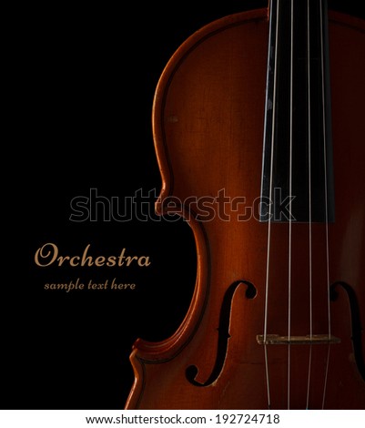 Violin detail in ambient light on black background with copy space