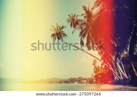 Retro filtered palm tree on tropical beach