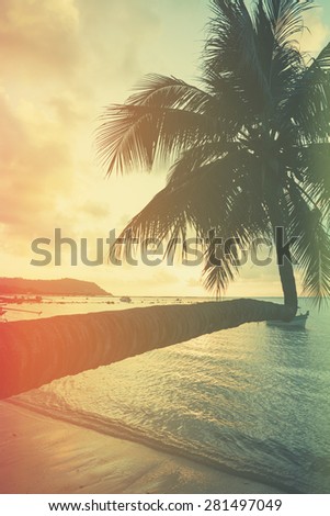 Retro stylized palm tree on tropical beach at sunset
