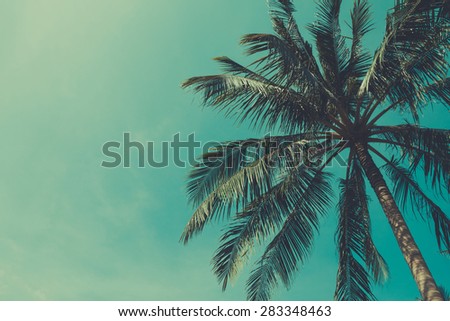 Retro stylized palm tree with sky on background with copy space