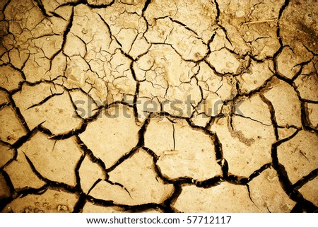 Cracked Ground Texture