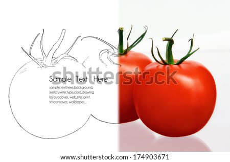 tomato drawing card