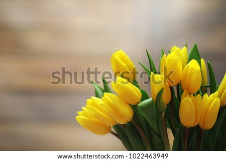 A bouquet of yellow tulips in a vase on the floor. A gift to a woman\'s day from yellow tulip flowers. Beautiful yellow flowers in vase by wall.
