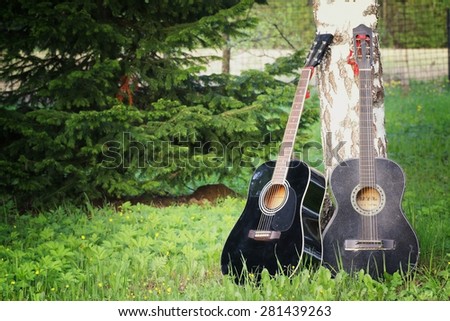 Guitar on the nature of the instrument in the forest