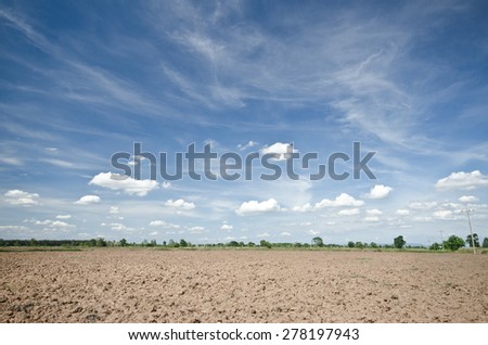 soil and clouds,rice farm