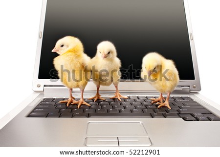 Chicken On Computer