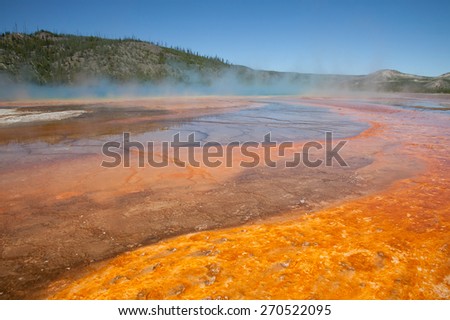 Grand Prismatic Spring, Yellowstone National Park, Wyoming. The colors in this image come from bacteria in the runoff of the hot spring. The colors in this image are natural - they were not enhanced.