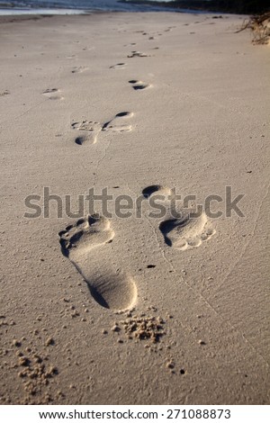 Footprints in beach sand going in opposite directions.  Very shallow depth of field - focus is on the toes of the first print.