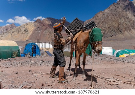 MENDOZA, ARGENTINA - JAN 15: John Doe Arriero or Muleteer loading a Mule.  Mules are the way for move the climber\'s cargo the 27 KM to the base camp. Jan 15, 2014 in Aconcagua Mount, Argentina