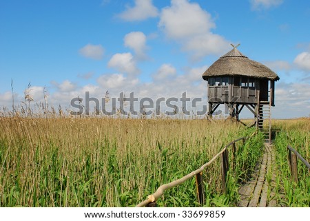 Observation house in the middle of vast swamp