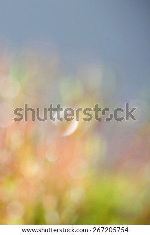 Light colored green and blue garden background with abstract, soft and fresh blurred water and moss bokeh with space for text