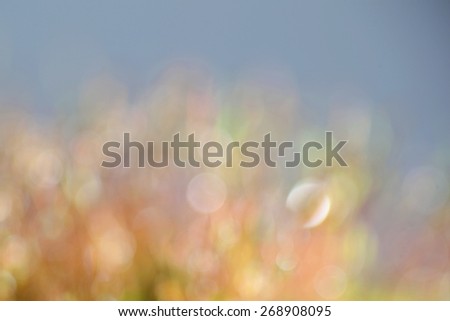 Light and happy colored green garden background with abstract, soft and fresh blurred water and moss bokeh with space for text