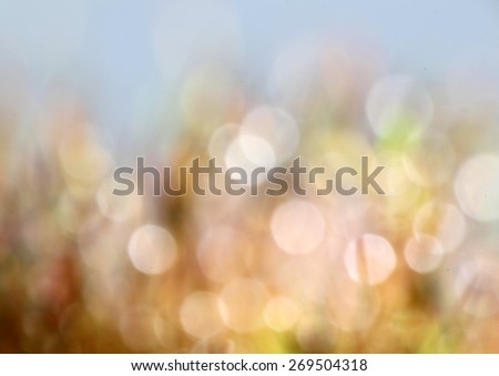 Pastel colored green and blue garden background with abstract, soft and fresh blurred water and moss bokeh with space for text