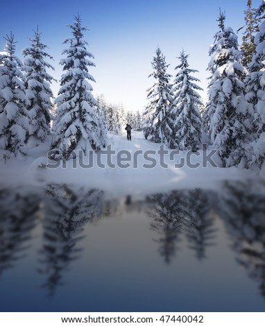 Winter wonder land Norway
