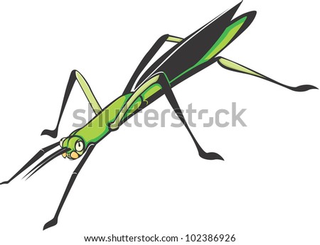 Creative Stick Insect Illustration
