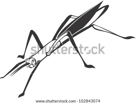 Creative Stick Insect Illustration
