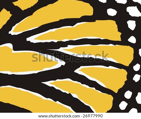 Butterfly Wing Vector