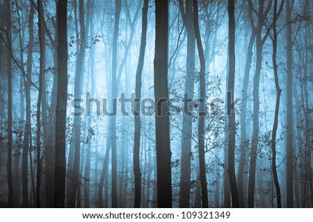 Dark blue spooky forrest with trees in fog