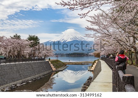 Mount Fuji, Cherry blossom, Japan.