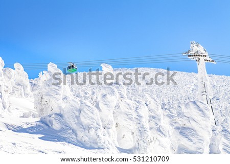 Snow Monsters Mountain Zao, Japan