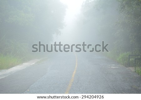 The road in the fog