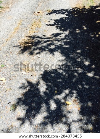 shadow tree abstract lay on street, black and light wallpaper, vintage style.