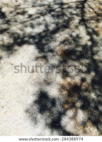 Blur shadow tree, abstract laying on street, black and light background, vintage style.