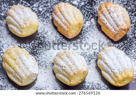 Sugar powdered madeleines on baking tray