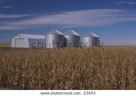 Grain storage bins and corn field, Nebraska