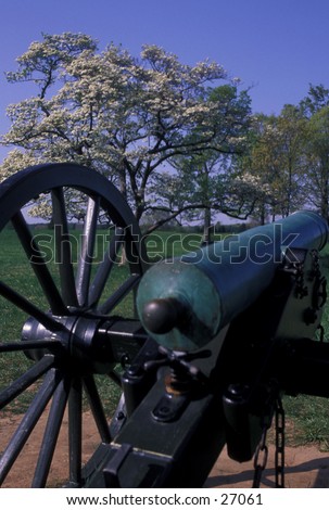 Cannon on Manassas (Bull Run) Civil War battlefield