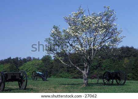 Cannon and caissons on Manassas (Bull Run) Civil War battlefield