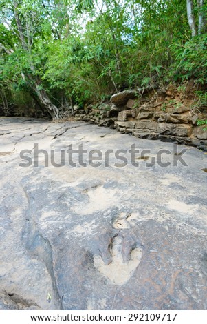 Dinosaur footprints The imprint on the rock era, In the early Cretaceous,\
A large carnivorous species about one hundred and forty million years,at Kalasin,Thailand