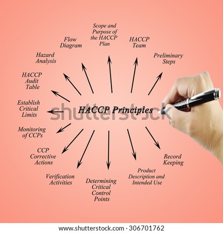 Woman hand writing element of HACCP principle on white background for used in manufacturing.(Training and Presentation)