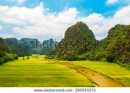 Rice field and river \