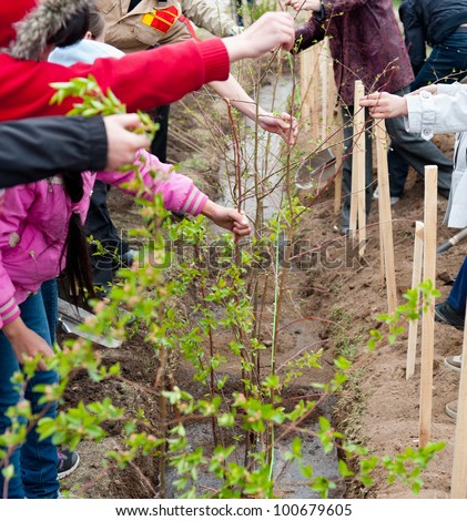 a group of students plant young trees in a yard