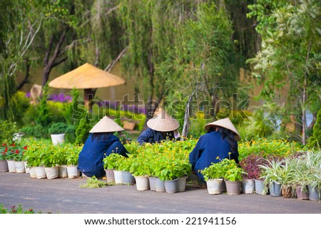 three Vietnamese women work with flower plants in a park