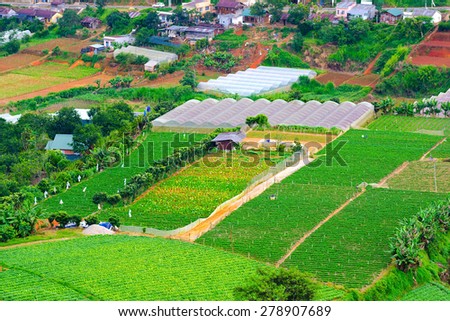 farming plots of land in Dalat, Vietnam