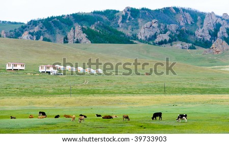 European Steppe