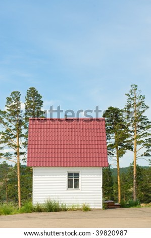 little house with red roof between pines